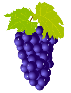 grape1.png